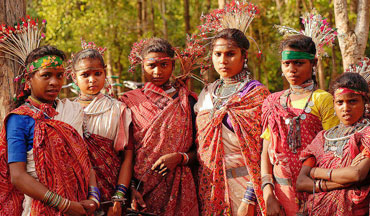 Племенной Тур, Индия