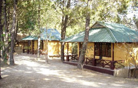 Parkwoods Village Resort Shimla