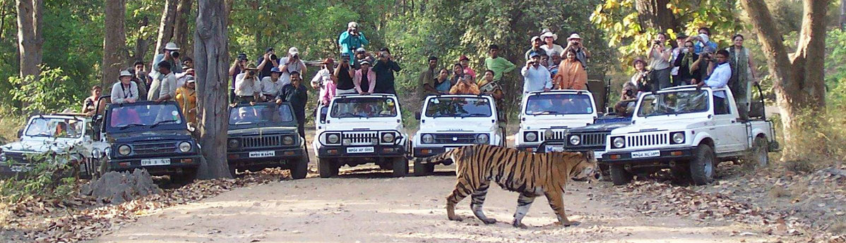 Bandhavgarh-национальный парк